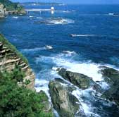 勝浦温泉のツボ療法図